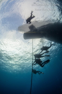 Divers safety stop, San Benedicto México by Alejandro Topete 